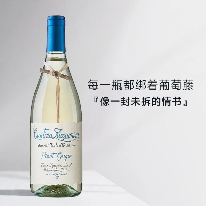 柠檬雪梨汁 | 意大利进口莎卡尼尼小树枝灰皮诺干型白葡萄酒