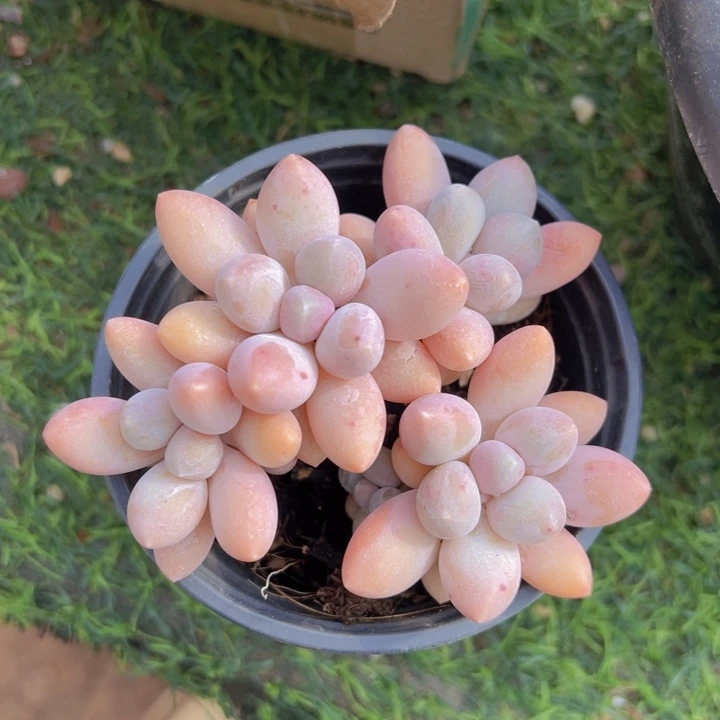 健健康康平平安安