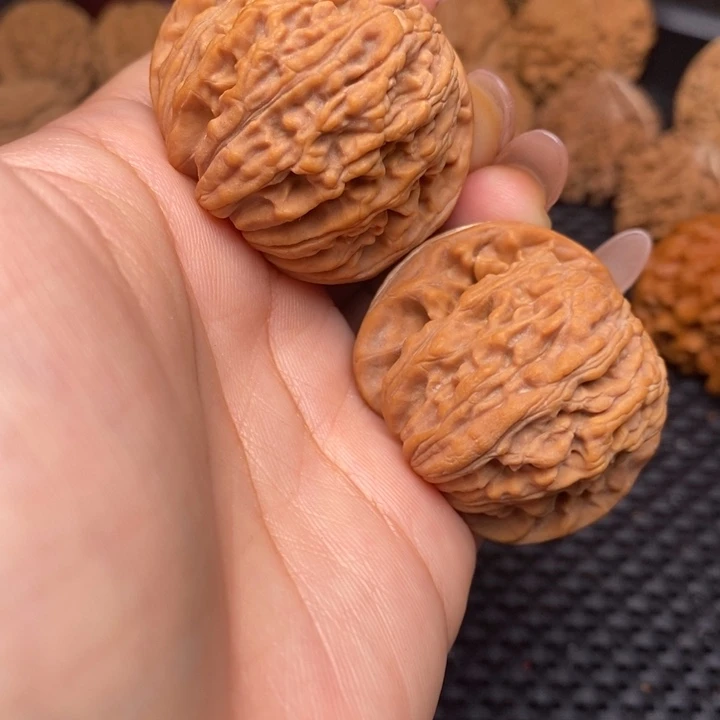 秦岭野生322222222