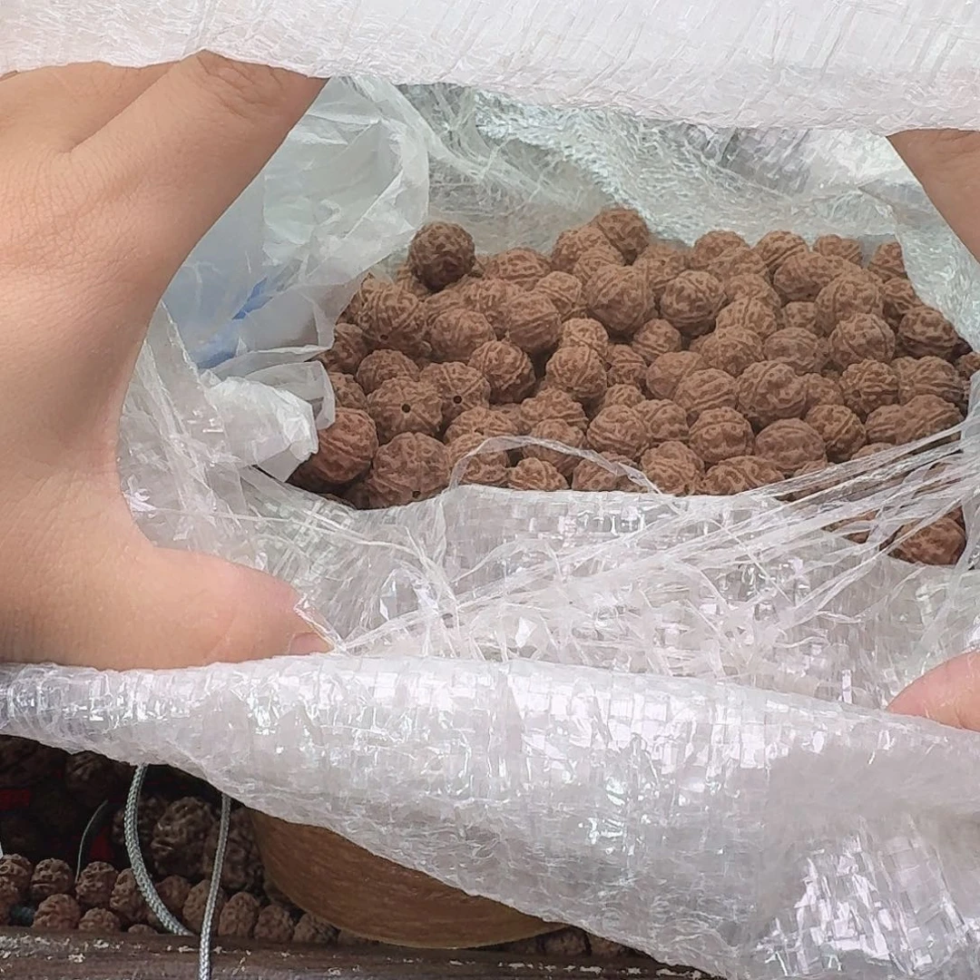 金刚菩提吊坠云***@700克不挑散籽，瑕疵