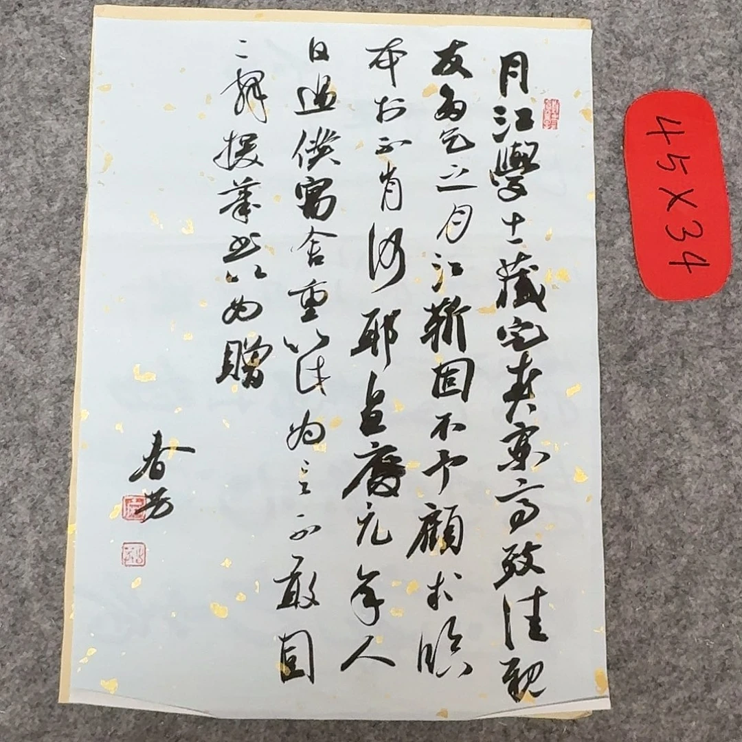 书法国展书家麻春芳45×34