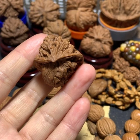 核桃?****话蛇头单只一个