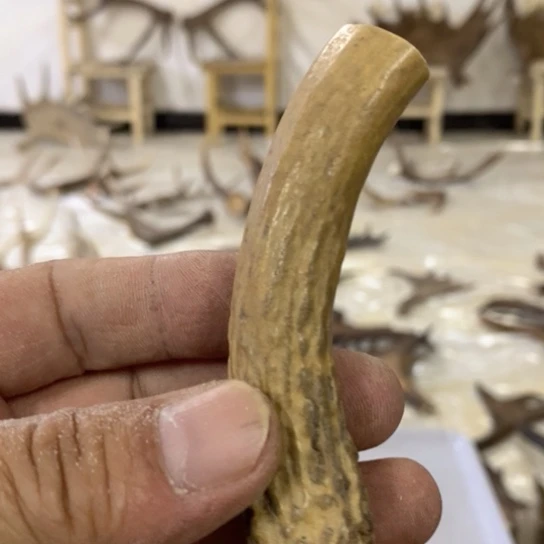 大叶紫檀（黑酸枝木类）