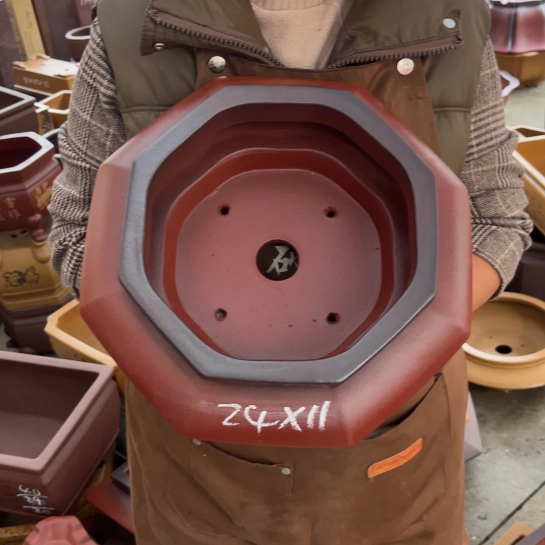 花盆紫砂盆景艺术