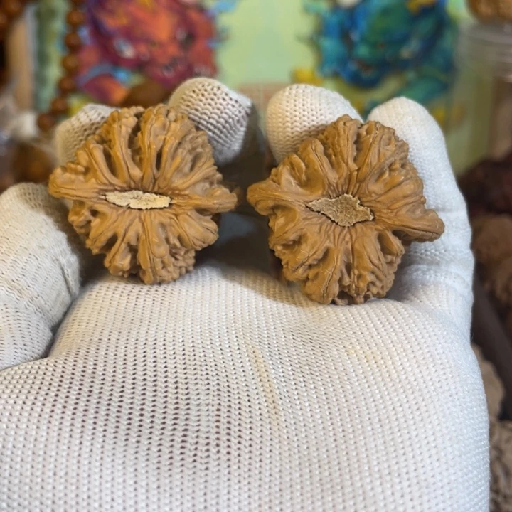 核桃密纹 文玩核桃