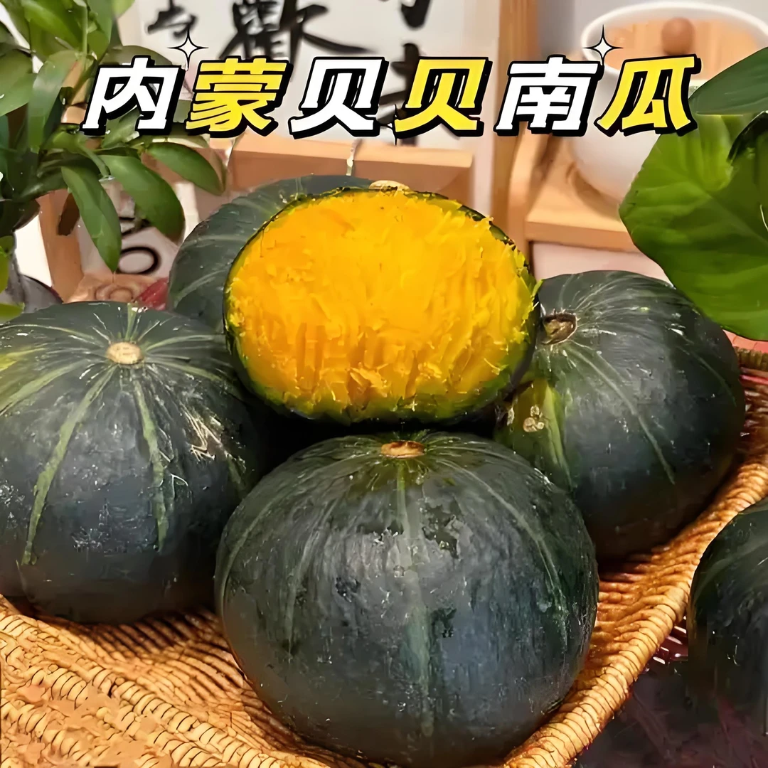 【不糯包赔】内蒙古沙地贝贝南瓜 代餐粗粮宝宝辅食板栗味小南瓜5斤