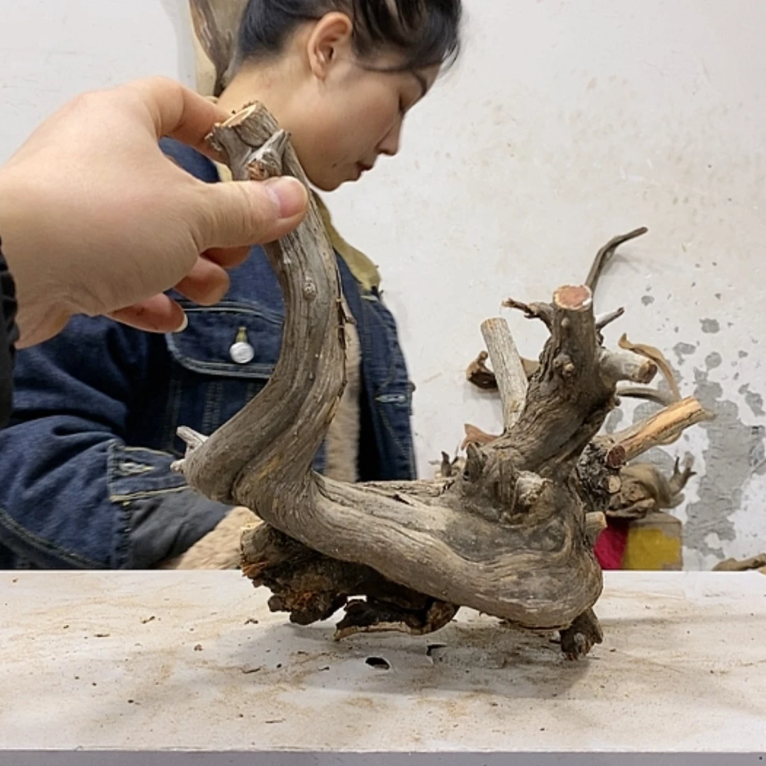 【闪购商品】柏木小***渔我们都是好孩子