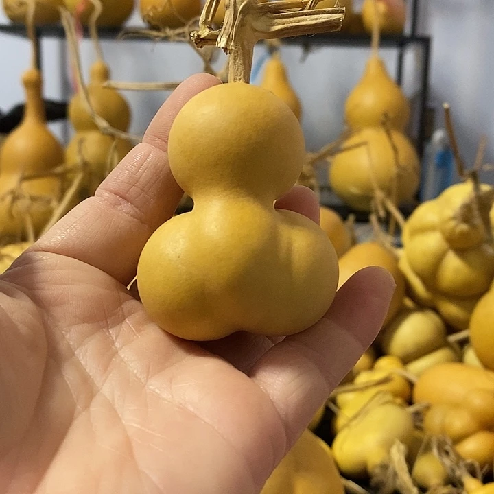 葫芦的颜色是蓝色的