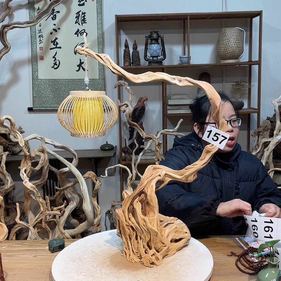 柏木刘*杜鹃根根艺摆件