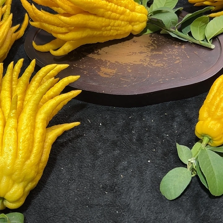 惠***儿完全开放九九九九佛手