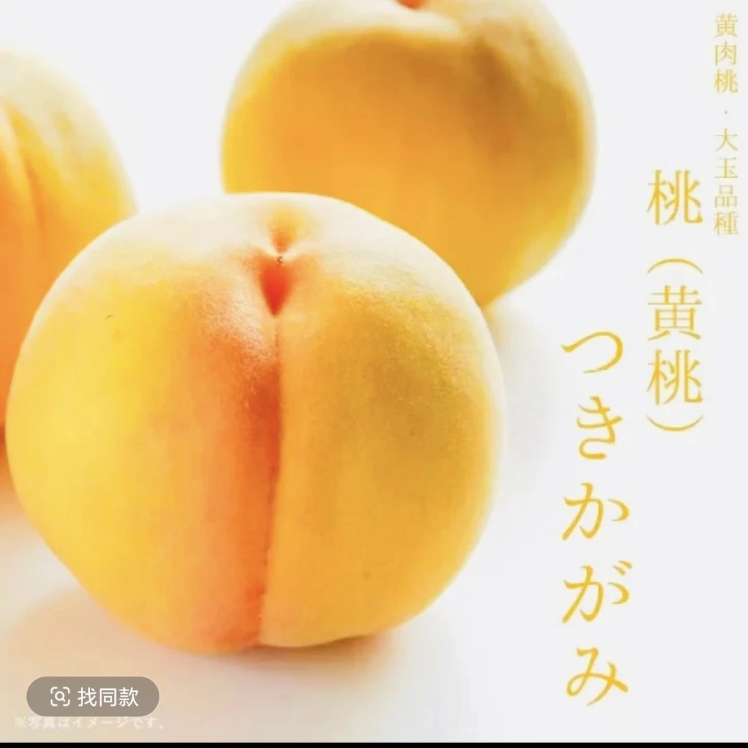 桃组合树苗，不包活