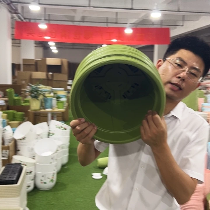 青山口32高28果绿无托5只