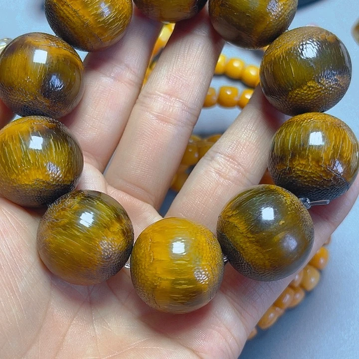 大果紫檀（缅甸花梨）