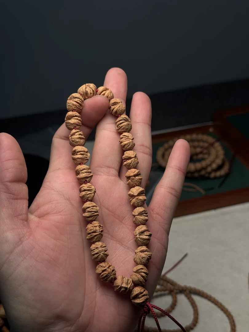 热振柏香籽大尺寸双胞胎横打原桩异形