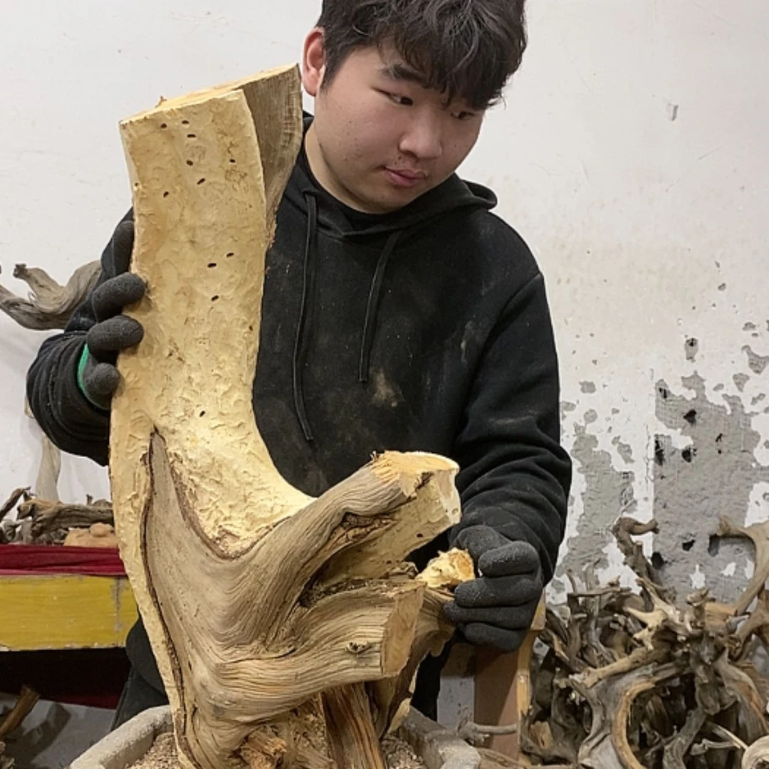【闪购商品】柏木上****签我们都是好孩子
