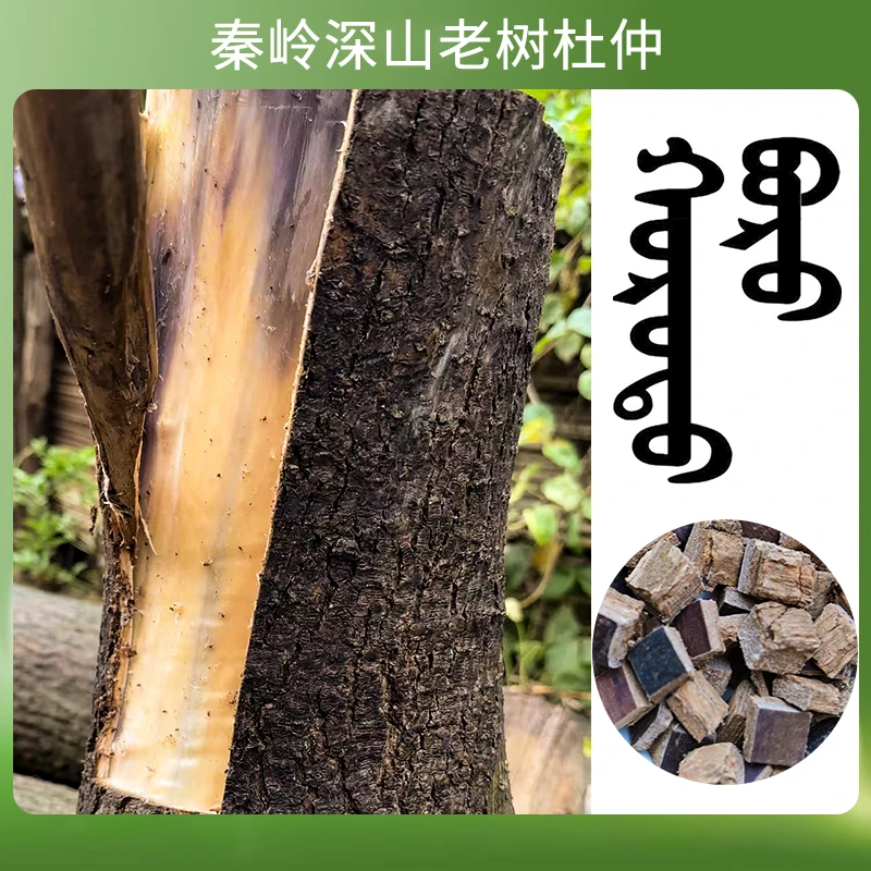 山里的杜仲树皮加自然牛膝