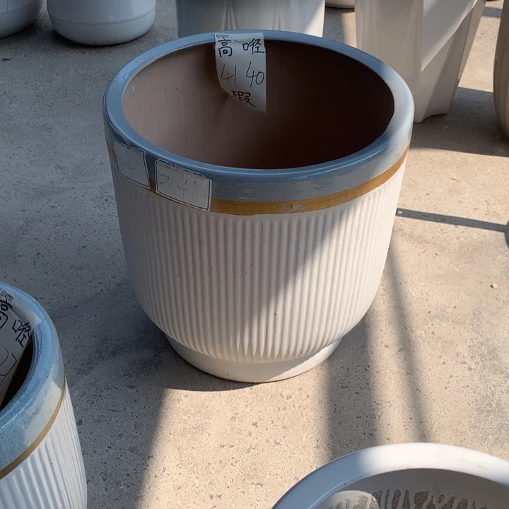 花盆里的小猫咪们