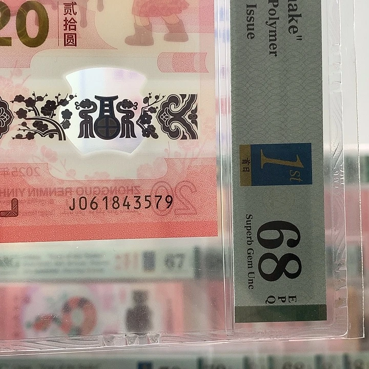 塑料乱蛇，首日，3579