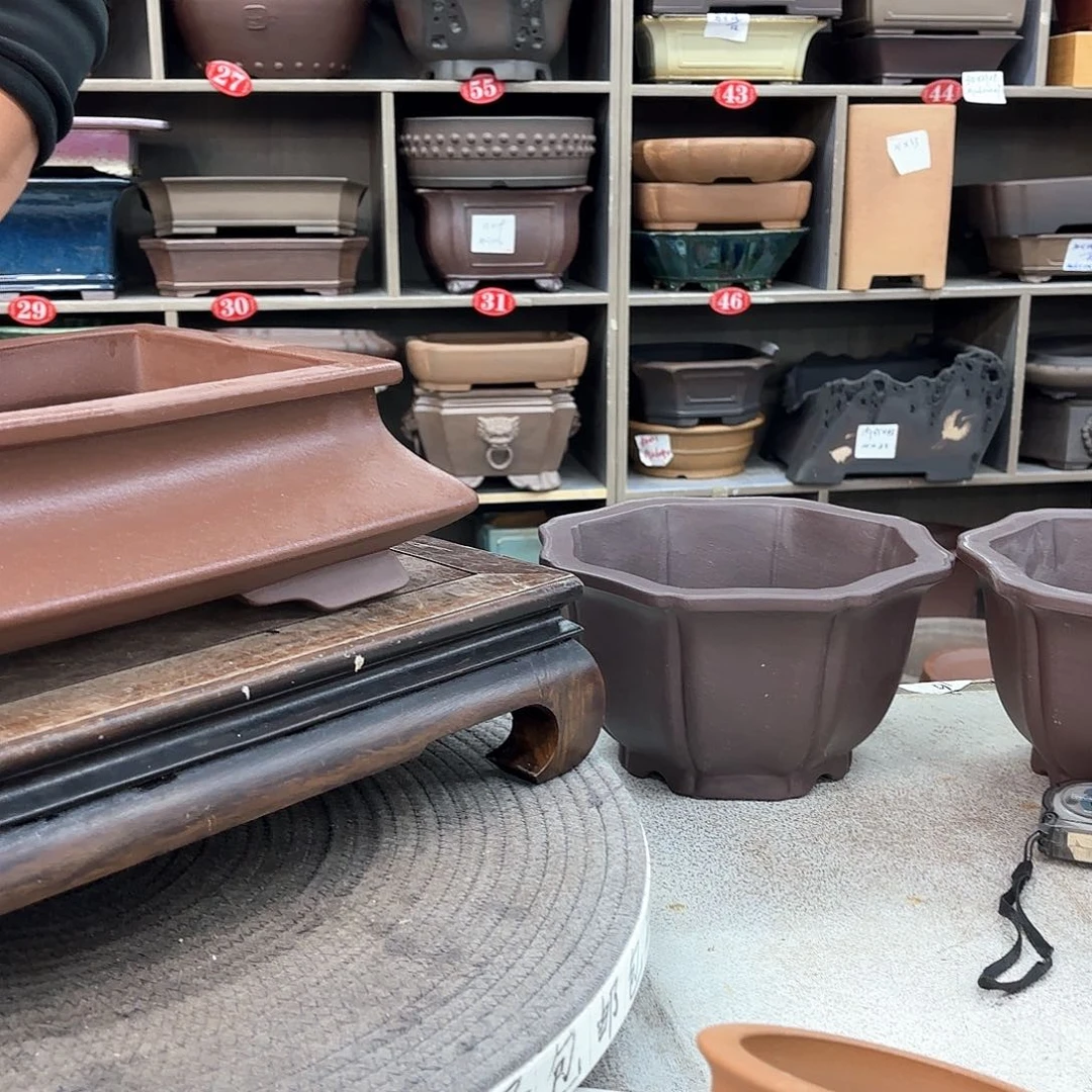 紫砂花盆飛紫砂的味道很好喝