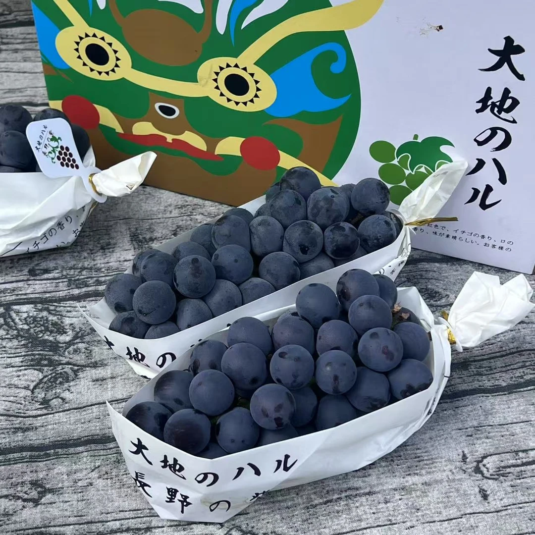 【乐鲜果园】大地紫黑提一串装500g起当季新鲜葡萄