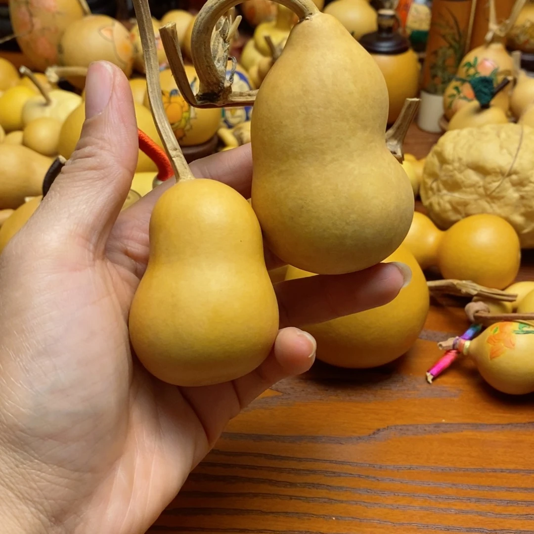 嘉*?葫芦葫芦葫芦葫芦