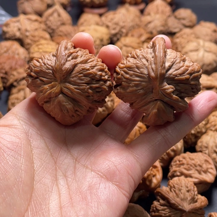 白狮子犀牛角43尺寸核桃哈哈哈哈哈哈