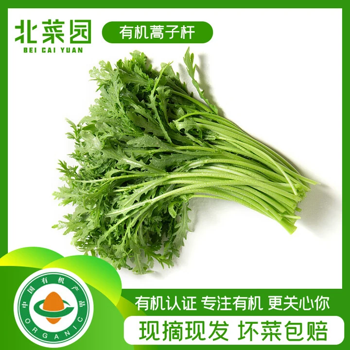 北菜园有机蒿子秆茼蒿250g新鲜有机蔬菜【进店多样加购】火锅涮菜
