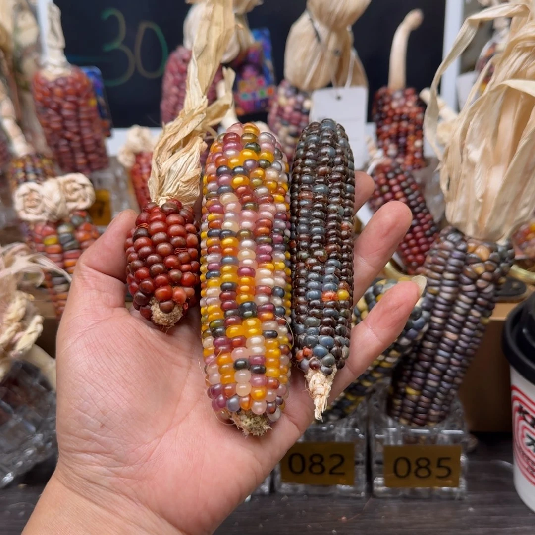 柏香籽/百香籽吊坠佩**姐