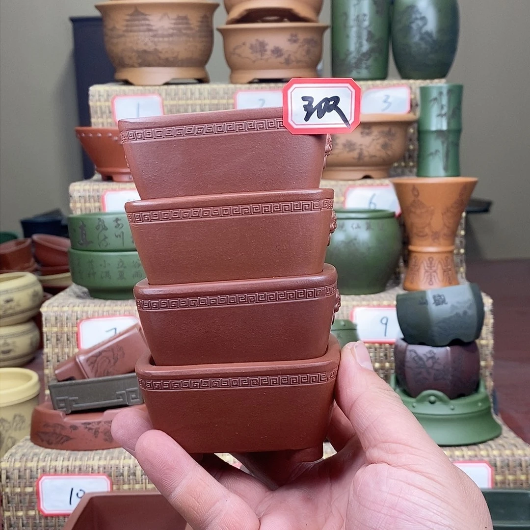 紫砂花盆我在等一