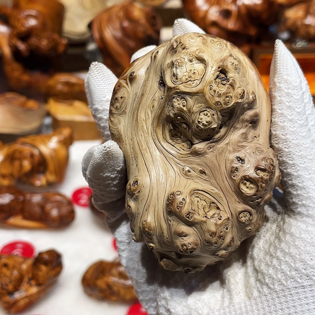 柏木（崖柏）太行崖柏