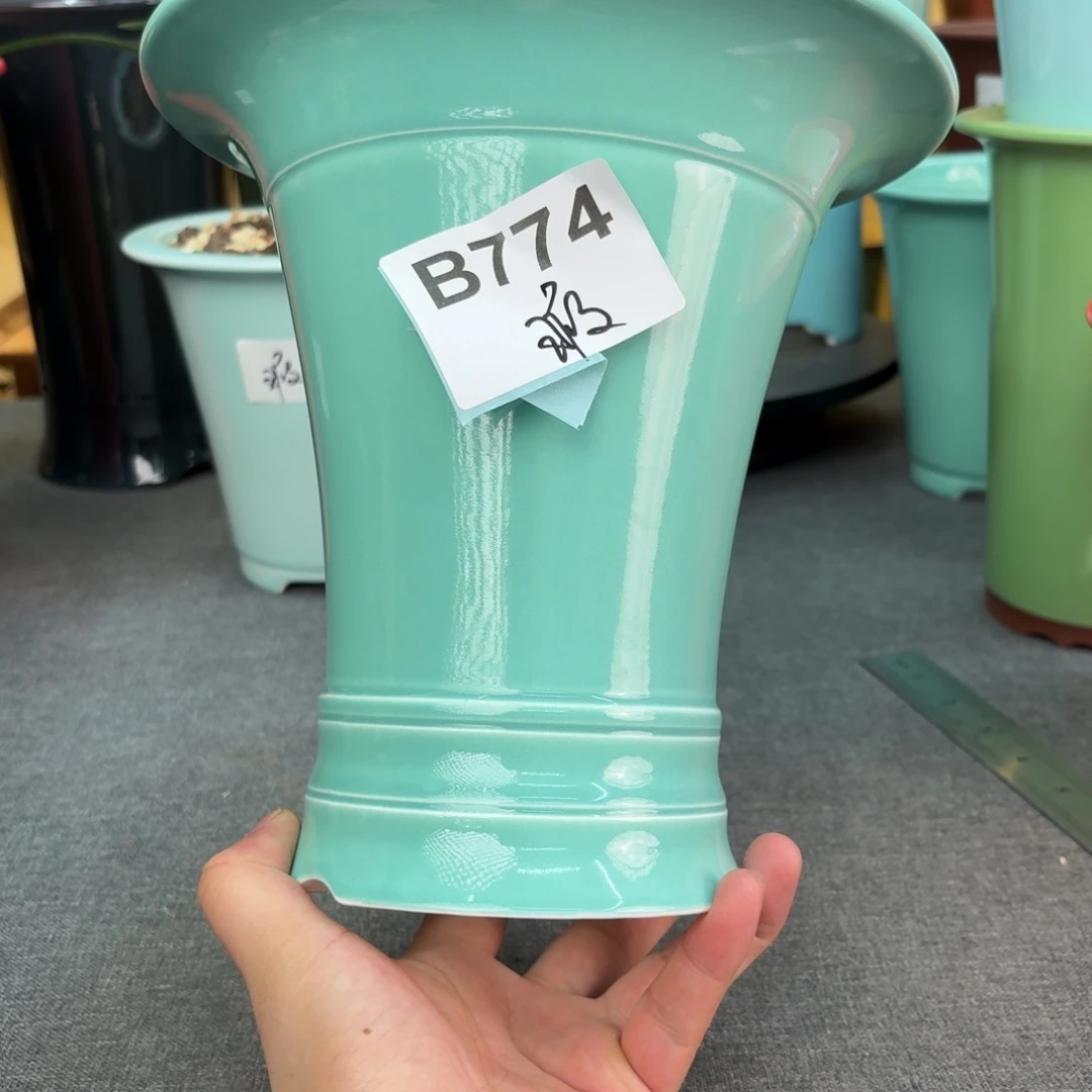 ****奇花盆紫砂兰花456856988880