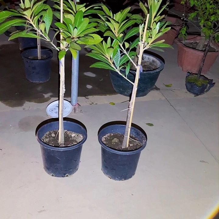 111111111111111111111