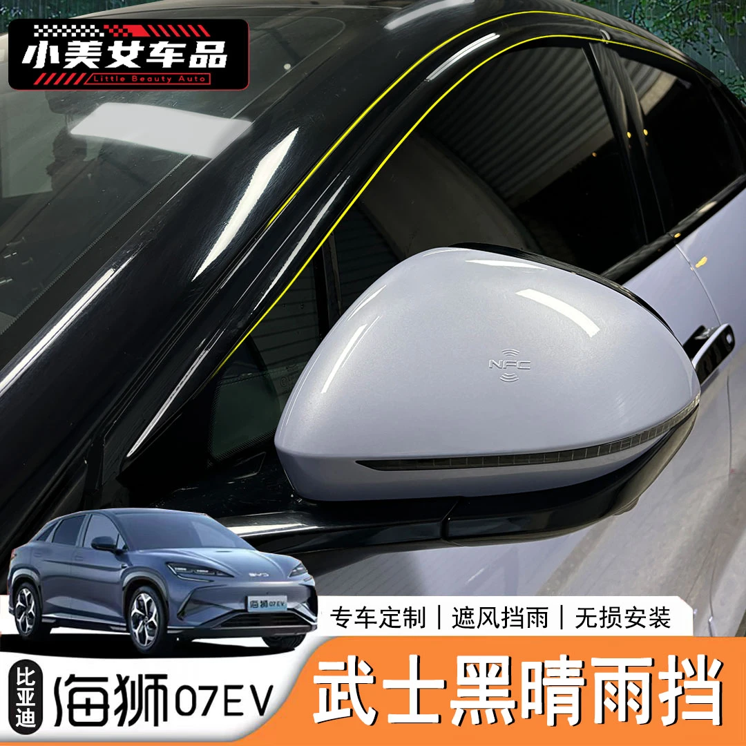 24/25款海狮07EV晴雨挡黑武士雨眉车窗专用改装挡雨板加厚加宽