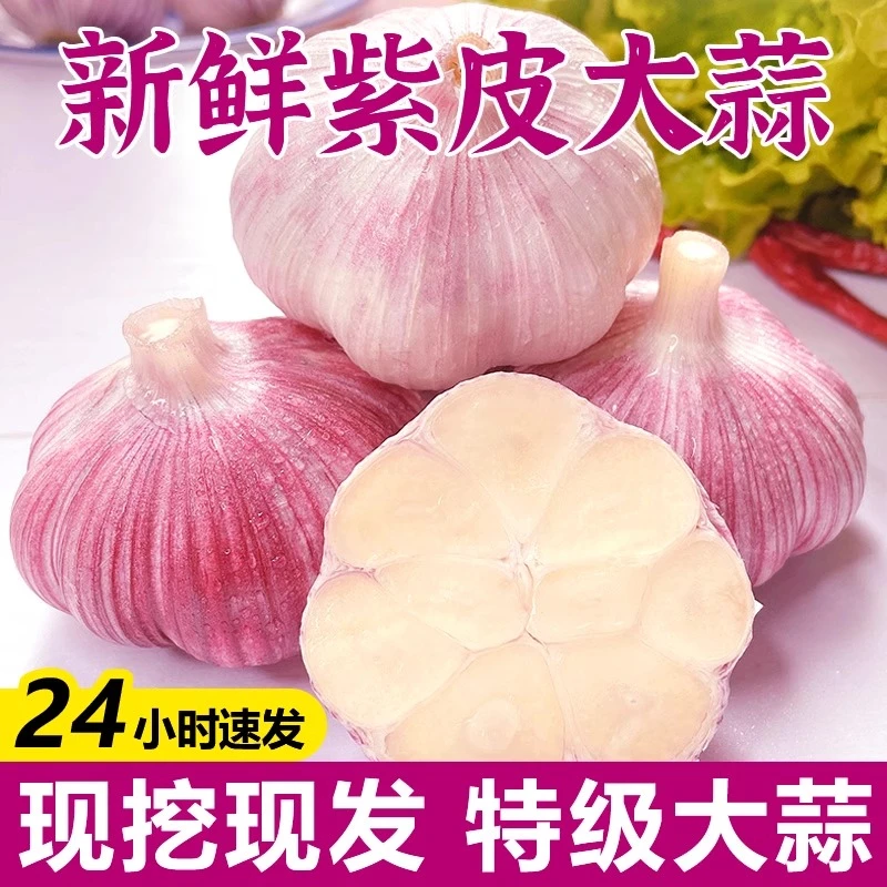 2025新鲜紫皮白蒜批发价鲜蒜正宗红皮湿蒜泡糖醋专用5斤
