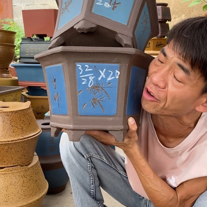 紫砂紫砂紫砂紫砂