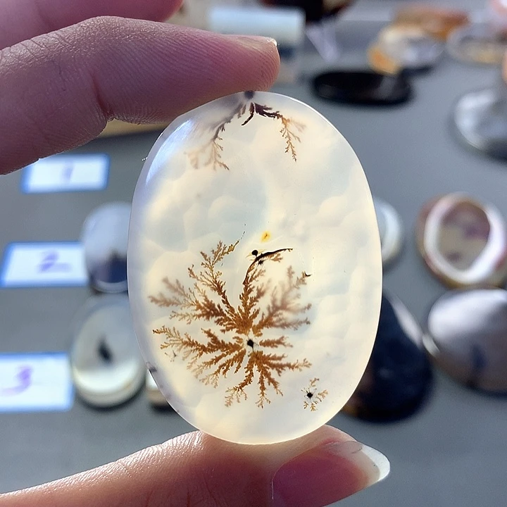 未镶嵌颈饰玛瑙/玉髓
