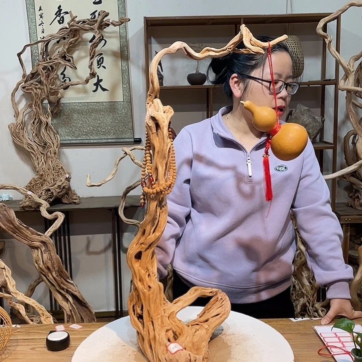 香榧木杜鹃根根艺摆件6