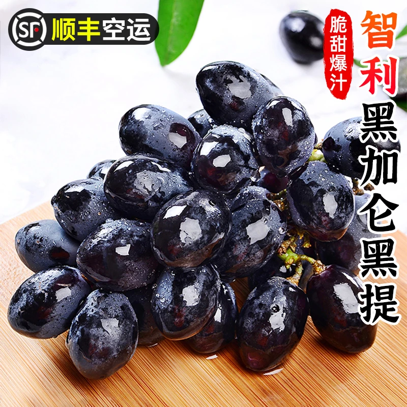 【顺丰空运】智利黑加仑黑提1-4斤葡萄美人指甜提子新鲜应季水果