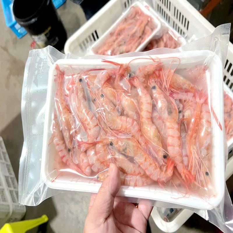 惠来澳角码头野生浅海红虾5斤新鲜美味，适合生腌，爆炒包甜