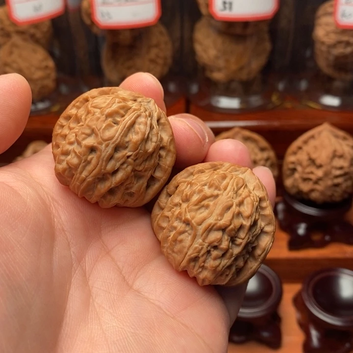 核桃麻核桃白狮子34