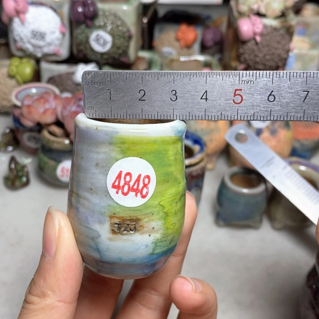 拍5送一个小礼物