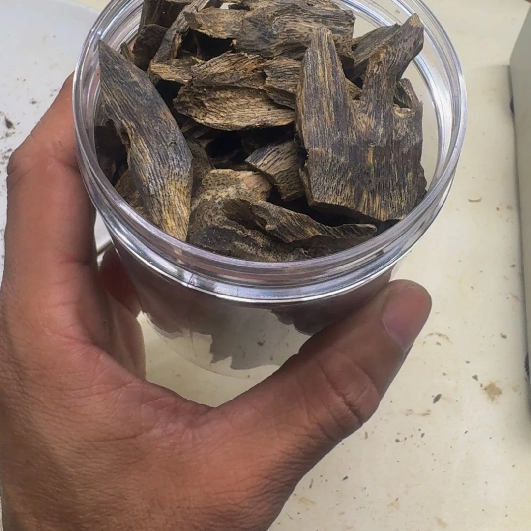 皮***狗沉香碎屑沉香棋楠沉香树丁100克