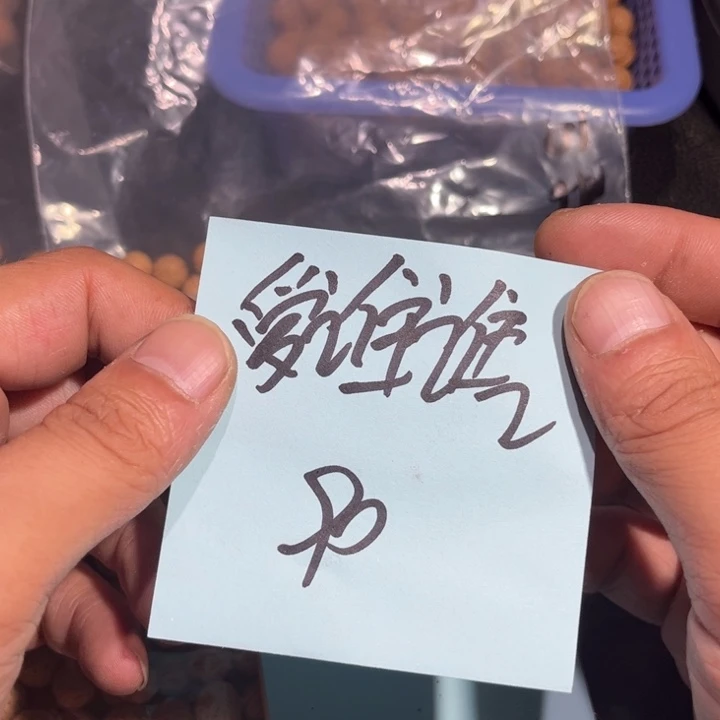爱***3桃核吊坠野生小核桃2