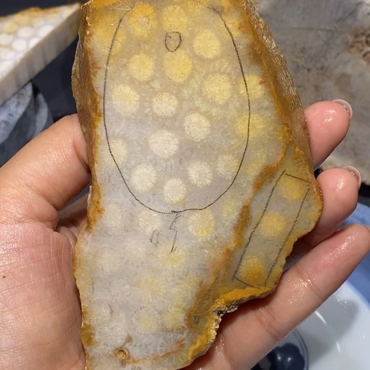 【闪购商品】未镶嵌珊瑚玉硅化玉