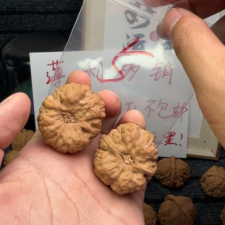 核桃手串/手链145888555888888