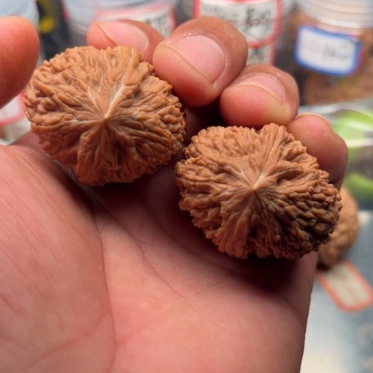 把件文玩核桃蒜头3335