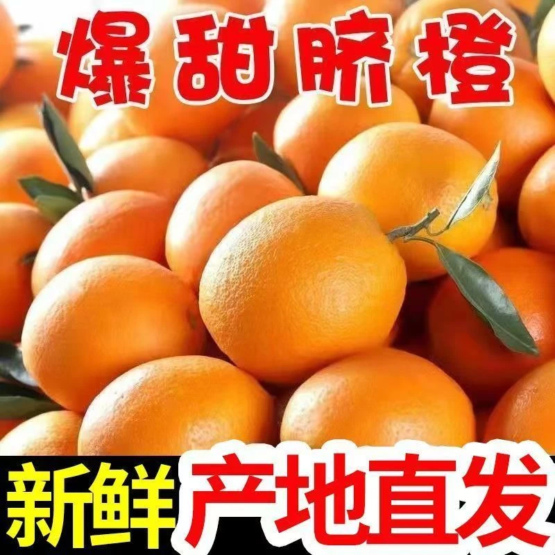 正宗赣南脐橙新鲜现摘应季水果产地直发香甜多汁