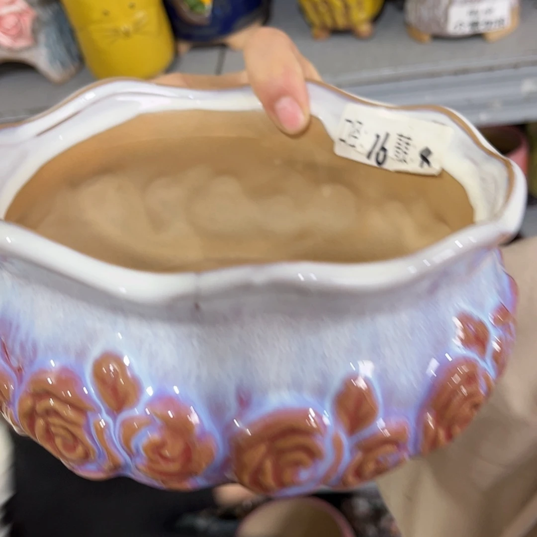 【闪购商品】红陶福利