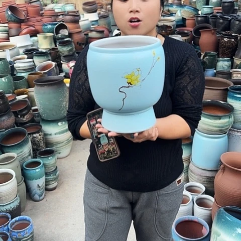 口20高25瑕疵一个盆子。