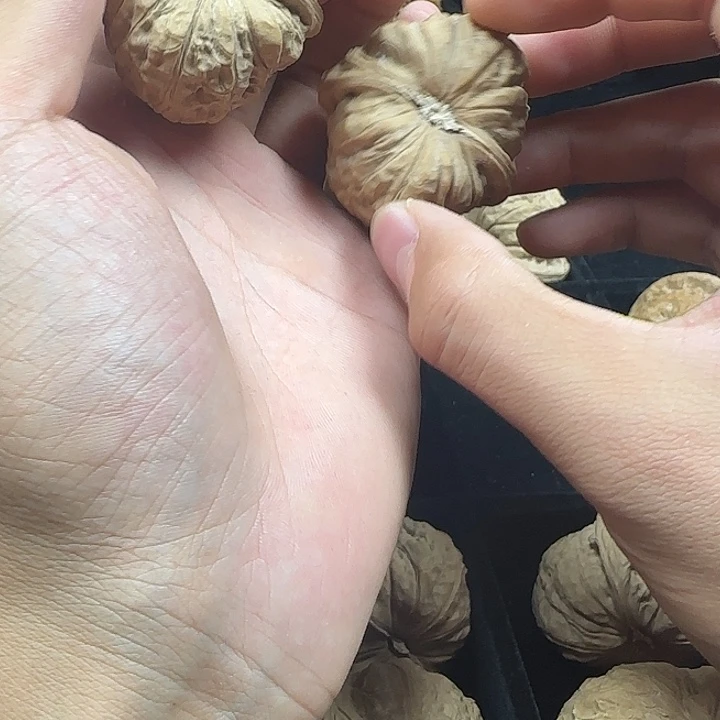 余***妳吊坠龙脊菩提啊啊啊啊啊啊南瓜23